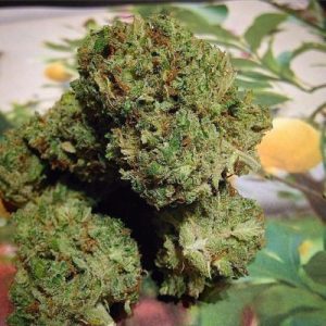 Lavender Jones Weed Strain UK