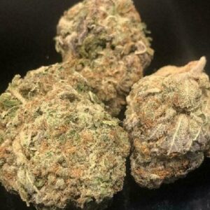 Astroboy Marijuana Strain UK