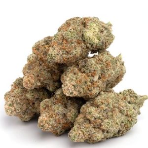 GMO Cookies Weed Strain UK