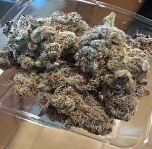 Grape Head Cannabis Strain UK