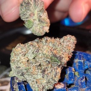 DNA Cake Cannabis Strain UK