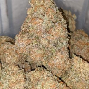 Maui Wowie Marijuana Strain UK
