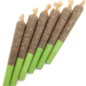 Transcendence Pre roll Joints UK