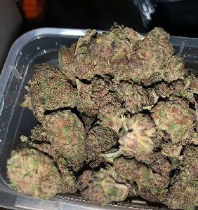 Jelly Donutz Marijuana UK
